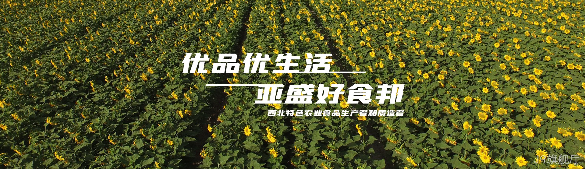 J9旗舰厅，优品优生活