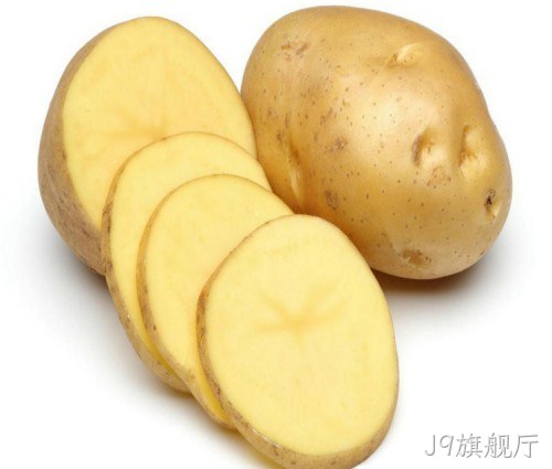 土豆/Potato